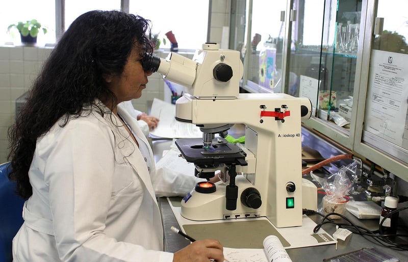 Dr. Elizabeth Wells
